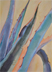 Agave_6armig_Aquar_klein.jpg