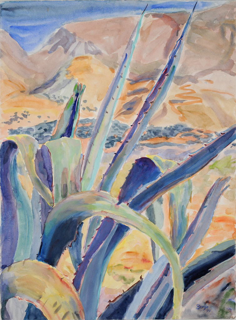 Agave_mit_Landschaft.jpg